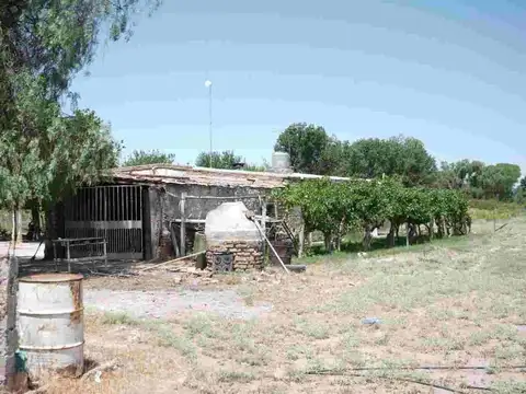 VENTA DE CAMPO, SANTA ROSA, LAS CATITAS MENDOZA