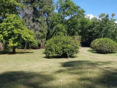 Galileo Galilei 7300