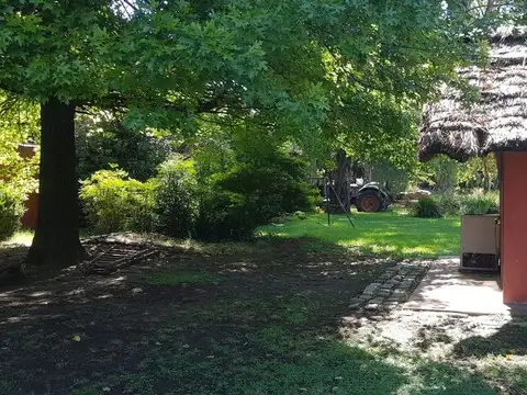 Galileo Galilei 7300