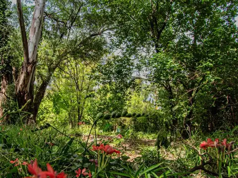 LOTE EN VENTA - 2100 LOPEZ CAMELO, RICARDO ROJAS