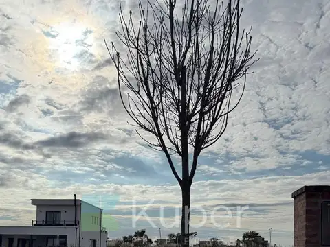 Terreno en Venta de 600,0 m2