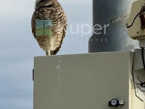 Terreno en Venta de 600,0 m2