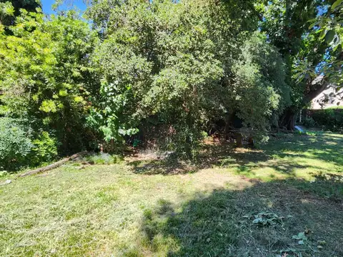 Venta de Terreno en Martinez 500 m2