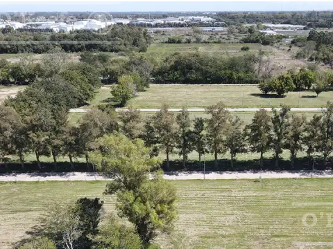 Terreno en Venta 33  mts Fondo