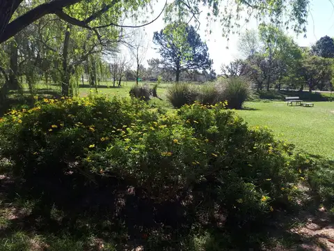 Venta 4,2 Hectáreas con 500 m2 constr. Loma  Verde