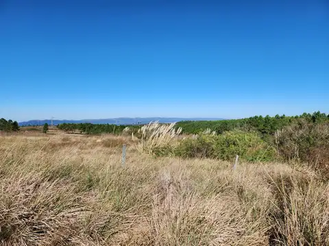 A 500 M DE RUTA S271