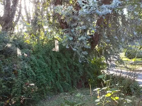 Indio Cuá Golf Club