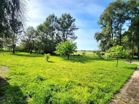 Quinta en alquiler en La Paciencia, Carabassa, Pilar, GBA Norte - 5 Ambientes