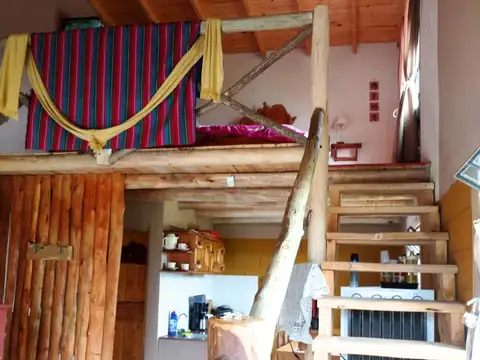 Eucalipto entre Santa Juana y Los Mimbres