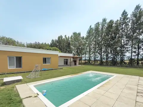 Haras del Sur II 100