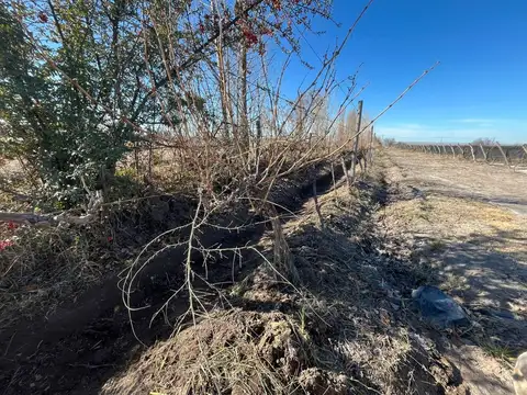 Finca en  Distrito Eugenio Bustos, San Carlos
