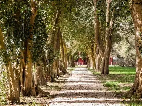 Terreno en Venta de 1760,0 m2