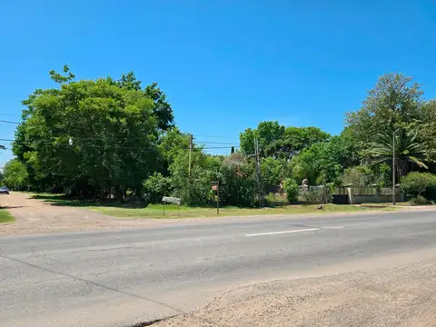 Terreno en Venta 50  mts Fondo