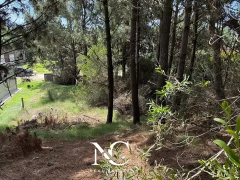 Terreno en Venta de 1000,0 m2