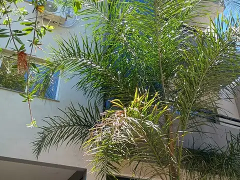 3 ambientes - Cochera - Balcón - A estrenar.