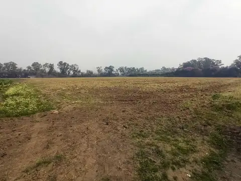 Terreno en Venta de 85016,0 m2