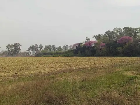 Camino Nuestra Sra. del Rosario 5360