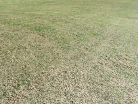 Terreno en Venta de 828,0 m2