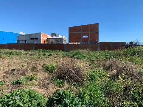 Calle 84 entre 6 y 7