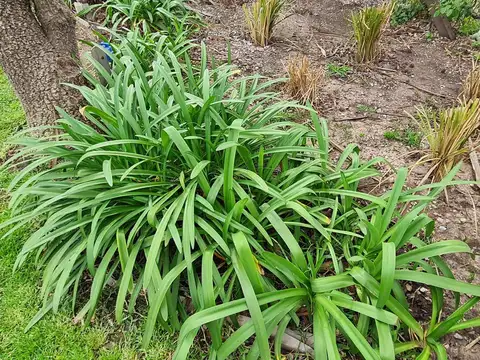 Casa en Alquiler Temporal con 1 cochera
