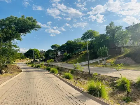 Avenida Ejército Argentino 300