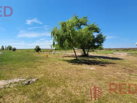 Terreno en Venta en Mari Menuco, USD 10.000