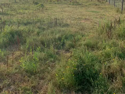 Terreno en Venta de 600,0 m2