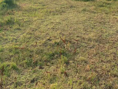 Luisa Faravezzi s/n entre Don Bosco Santo y San Cayetano