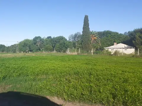 Terreno - Villa Elisa