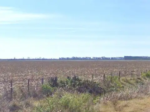Campo en Ramallo Paraíso 28 hectáreas