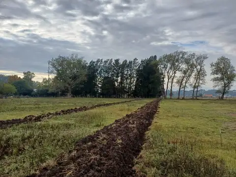 Terreno en Venta en Santa Lucia, USD 20.000