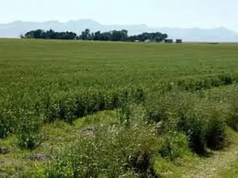 CATAMARCA dptoVALLE DE BELEN RUTAS 40 Y 50