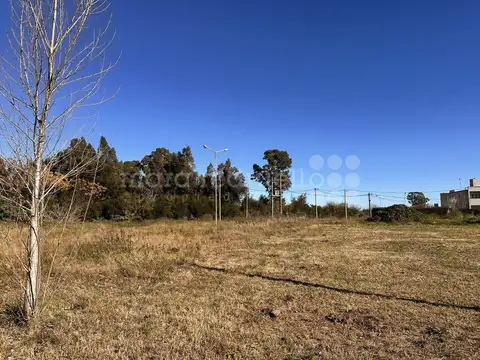 Terreno en Venta de 614,0 m2