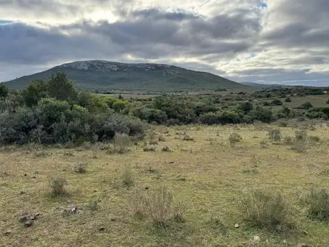 Carlos Mattos Moglia