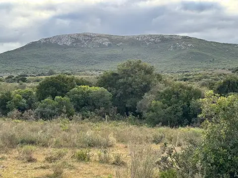 Carlos Mattos Moglia