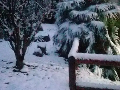 CONFIDENCIAL - BI683112