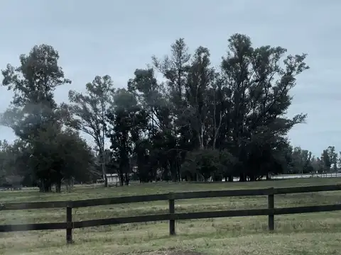 Terreno en Venta de 7494,0 m2