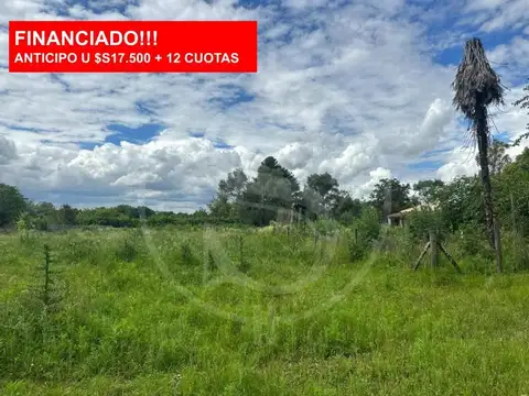 TERRENO CON ARBOLEDA SAN ANDRES DE GILES FINANCIADO