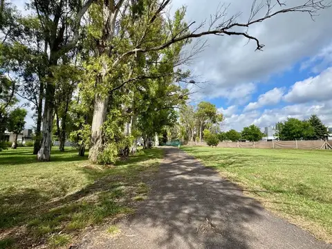 133 e/ 505 y 506 100