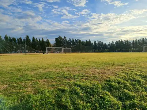 Terreno en Venta de 705,0 m2