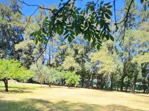 Quinta en Venta en Gonzalez Catan, USD 170.000