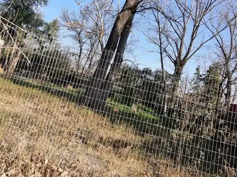 Terreno en Venta en Abasto, USD 66.000