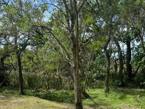 Terreno en Venta de 1200,0 m2