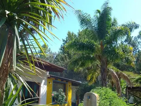 Campo Sobre Calle Frigorifico Gualeyguchu