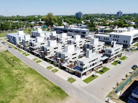 Los platanos al al 200