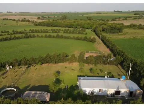 Rincon del Doll 7 , Piso No definido