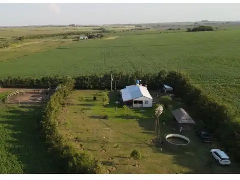 Campo de 7 hectareas con casa, sobre ruta. Con todos los servicios instalados
