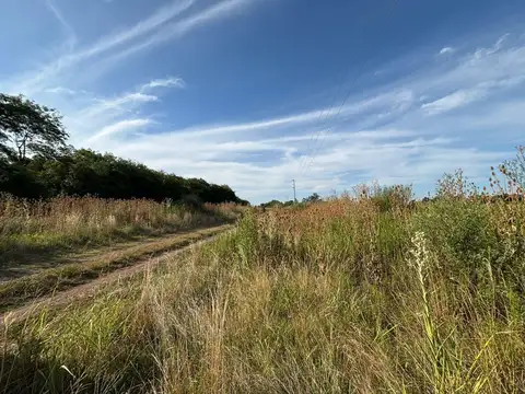 Campo en Venta en San Andrés De Giles 5 hectáreas