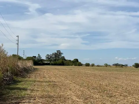 Campo en Venta en San Andrés De Giles 5 hectáreas