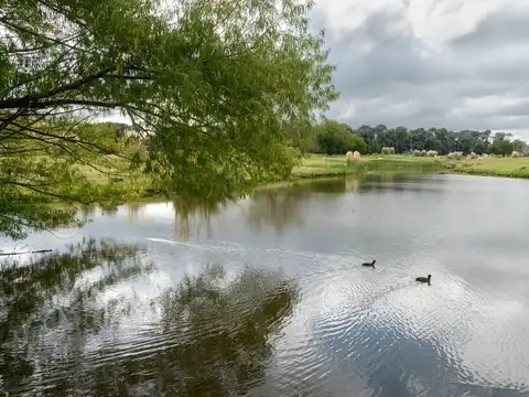 Terreno en Venta en Pilara, USD 281.000